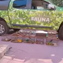 (Video) Rescataron en San Mart�n y Las Heras aves silvestres que fueron vendidas por redes sociales