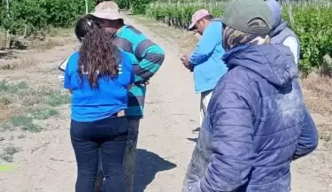 Trabajo en negro en Tupungato