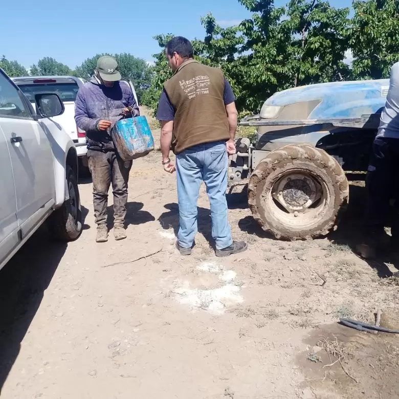 trabajo en negro en Tupungato