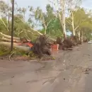 El enorme operativo de emergencia que mont� el Gobierno por la tormenta en Mendoza