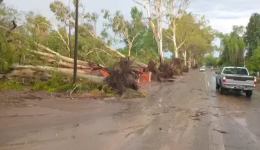 temporal