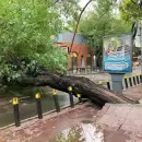 Balance del temporal en el Gran Mendoza: m�ltiples da�os, barrios afectados y operativos en marcha