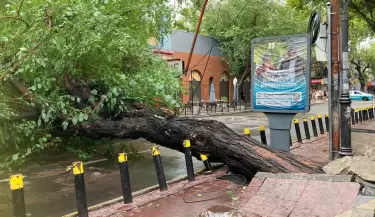 temporal
