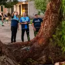 Luego del fuerte temporal, Maip� tambi�n activ� un operativo integral de emergencia