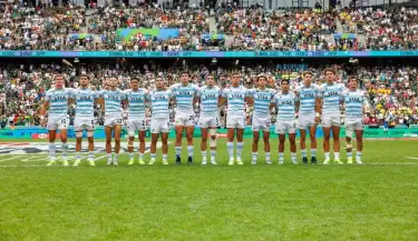 pumas