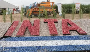 inta