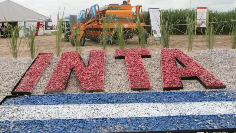 inta