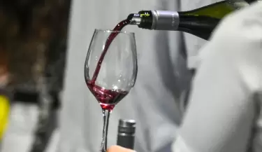 Vino