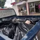 Contaminaci�n cruzada y falta de fr�o: decomisaron 300 kilos de carne en mal estado en Las Heras