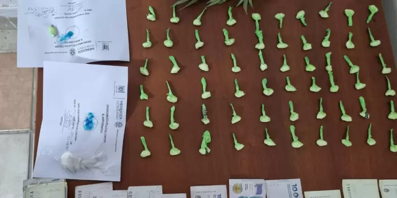 Operativo en Palmira