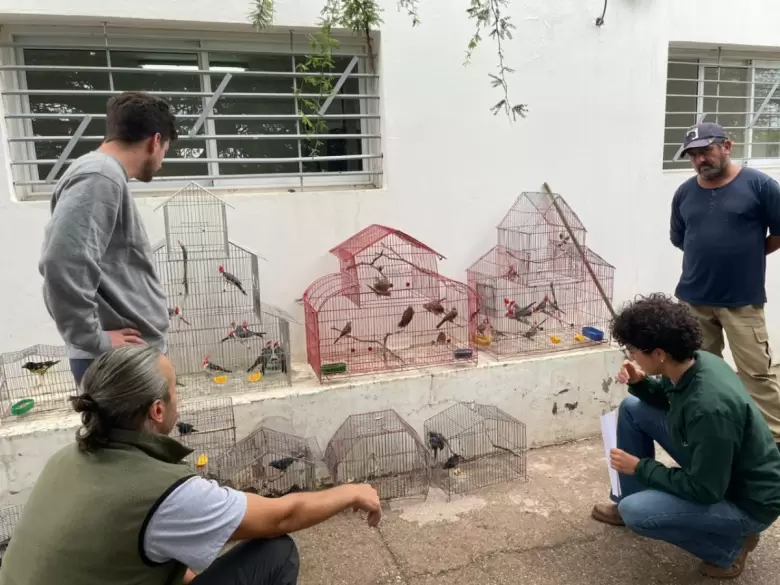 Rehabilitación