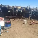Detuvieron en Guaymallén a tres hombres que faenaron caballos y luego vendieron la carne