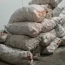 Recuperaron m�s de una tonelada de manzanas robadas en Tupungato