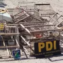 Operativo en Maip� para rescatar ejemplares de siete cuchillos, v�ctimas del tr�fico ilegal