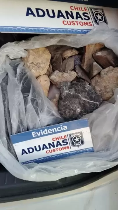 f�siles
