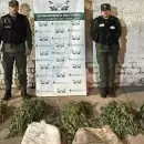 Detuvieron a un conductor que transportaba cinco plantas de marihuana por la Ruta 89
