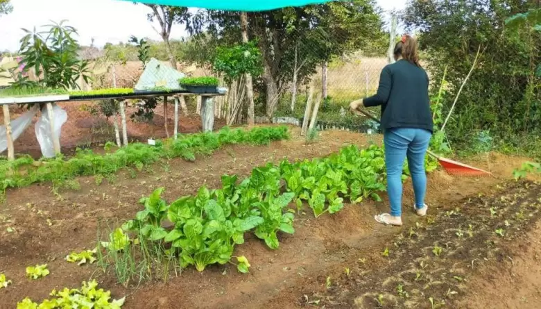 huerta