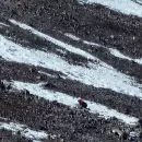 Importante operativo para rescatar a un andinista japon�s que cay� m�s de 300 metros en el Aconcagua