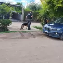 Ultra, el perro polic�a que ayud� a resolver un robo en Santa Rosa