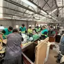 Entr� en vigencia una ley clave para la gesti�n ambiental en Mendoza