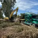A casi un mes de la hist�rica tormenta, Vialidad sigue trabajando para despejar la ruta 50