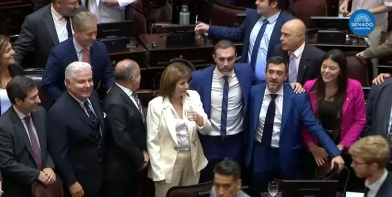 senado