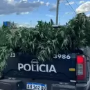 Secuestraron drogas y un arma en operativos contra el narcomenudeo en Tupungato