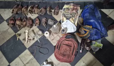 caza ilegal en San Carlos
