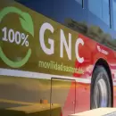 Estos ser�n los servicios especiales de transporte para los distintos festejos vendimiales