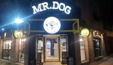 Mr dog