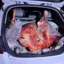 Decomisaron 140 kilos de carne vacuna en San Carlos y aprehendieron a un hombre