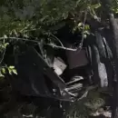 Se durmió al volante y chocó contra un árbol en el Acceso Sur: salió ileso
