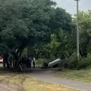 Tragedia en San Rafael: una ni�a de 8 a�os protagoniz� un accidente vial y muri� en el lugar