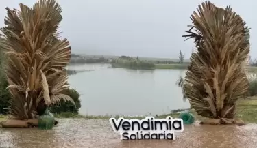vendimia solidaria
