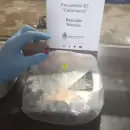Hallaron más de cuatro kilos de marihuana en un micro que viajaba de Jujuy a Mendoza