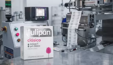 tulipan