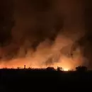 M�s de 200 hect�reas arrasadas por los incendios forestales en Mar del Plata