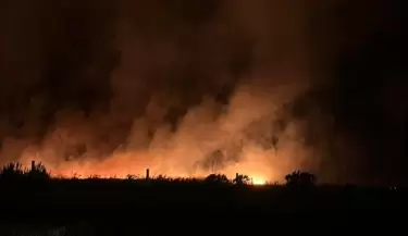 incendios forestales