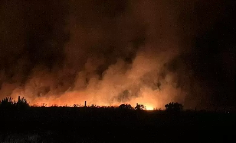 incendios forestales