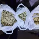 Fuerte operativo en el Gran Mendoza: recuperaron bienes robados y secuestraron droga