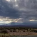 En Uspallata, un bosque de historias invita a plantar recuerdos, amor y futuro