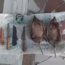 Detuvieron en San Carlos a siete hombres que llevaban animales silvestres muertos y cuchillos de caza