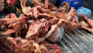 carne de cerdo