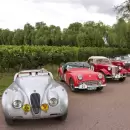 Autos clásicos, bodegas y cordillera: vuelve a Mendoza el Rally de las Bodegas