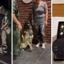 Detuvieron a una mujer que llevaba cocaína oculta en su cuerpo, en un micro que salía de Mendoza