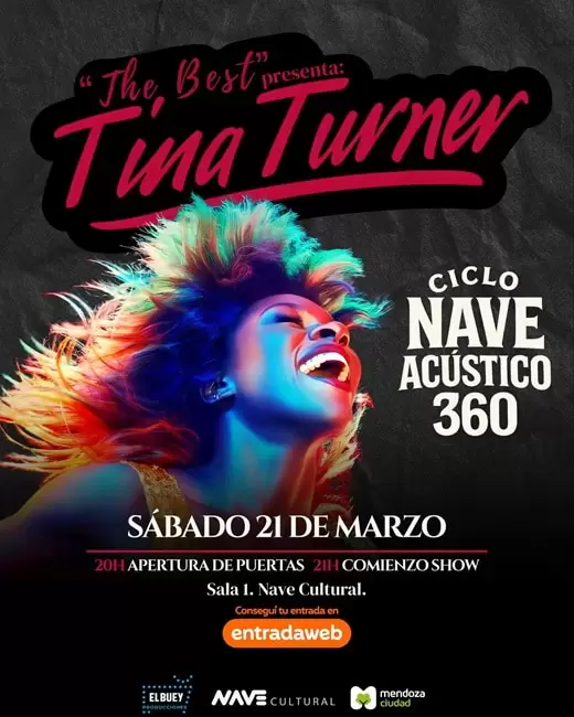 tina turner