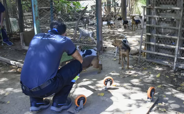 Allanamiento y rescate en Guaymallén