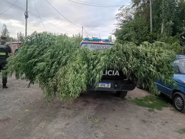 operativo