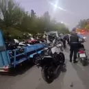 Operativo de alto impacto en Lavalle: secuestraron varias plantas de marihuana y 18 motos