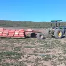 Accidente laboral en San Rafael: un hombre muri� aplastado por un tractor en una finca